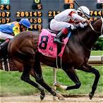 best horse bet today